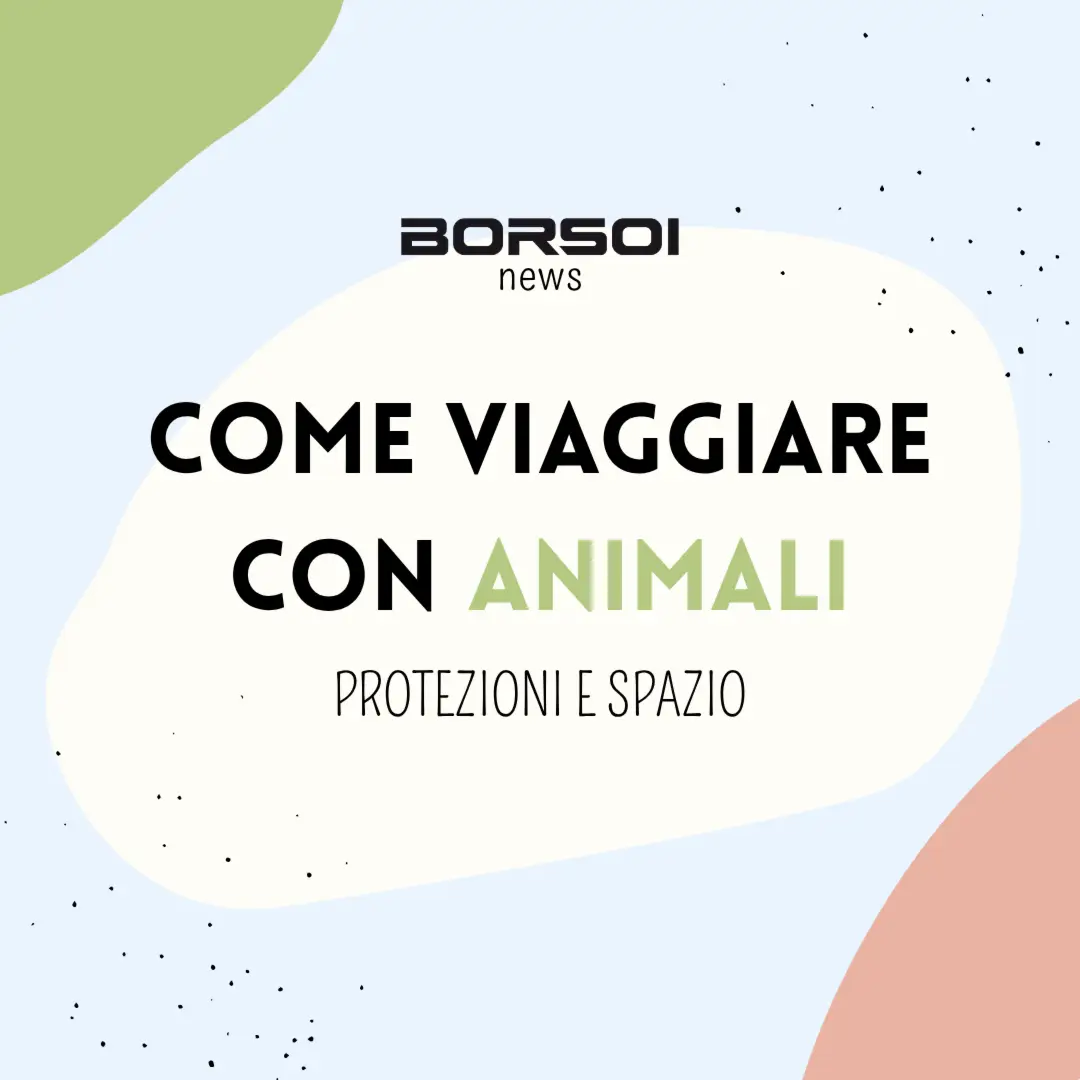 Come viaggiare con animali